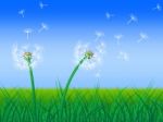 Dandelion Sky Shows Green Pasture And Grass Stock Photo