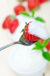 Organic Greek Yogurt And Strawberry Stock Photo