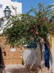 Albufeira, Southern Algarve/portugal - March 10 : Street Scene I Stock Photo