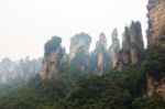 Zhangjiajie National Park ( Tian Zhi Shan ) ( Tianzi Mountain Nature Reserve ) And Fog , Chinazhangjiajie National Park ( Tian Zhi Shan ) ( Tianzi Mountain Nature Reserve ) And Fog , China Stock Photo