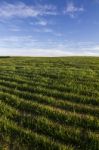 Spring Countryside Landscape Stock Photo