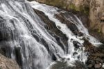 View Of Gibbon Falls In Yellowstone Stock Photo