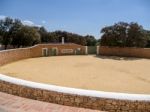 Ronda, Andalucia/spain - May 8 : Farm Complete With Bullring Nea Stock Photo