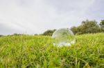 Glass Globe Stock Photo