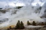 Norris Geyser Basin In Yellowstone National Park Stock Photo