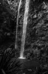 Twin Falls Waterfall Located In Springbrook National Park Stock Photo