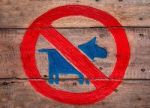 The Sign Of No Dog  On Wood Background Stock Photo