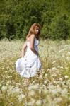 young Woman In Meadow Stock Photo