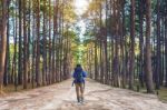 Hiking Man With Backpack Walking In Forest Stock Photo