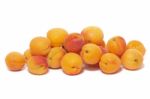 Armenian Plums (prunus Armeniaca) Stock Photo