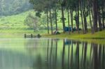 Morning Atmosphere Campsite On A Lake In The Pine Forest Stock Photo