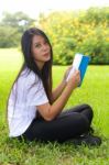 Woman Reading A Book Stock Photo