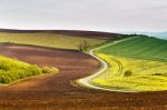 Road In Moravia Hills In April. Spring Fields Stock Photo