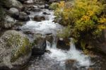 Rapids In Yellowstone Stock Photo