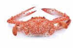 Red Crab Isolated On White Background Stock Photo