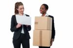 Two Female Workers Discussing Stock Details Stock Photo