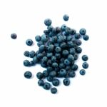 Blueberries Stock Photo