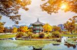 Gyeongbokgung Palace In Autumn,south Korea Stock Photo