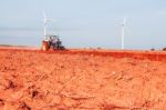 Gardeners Are Using Tractors To Prepare The Soil Stock Photo