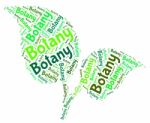 Botany Word Shows Plant Life And Botanical Stock Photo