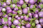 Eggplant Stock Photo