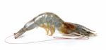 Raw Shrimp Isolated On The Whtie Background Stock Photo