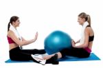 Fit Women Practicing An Exercise With Pilates Ball Stock Photo