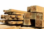 Pine Wood Logs Stock Photo