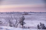 Cold Winter Morning Stock Photo