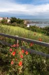 View Of Pittenweem In Fife Stock Photo