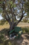 Abandoned Armchair In Nature Stock Photo