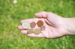 Female Hand Showing Euro Coins Stock Photo