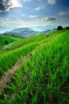 Rice Terraces In Northern Of Thailand Stock Photo