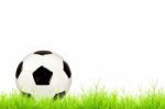 Soccer Ball On Green Grass Stock Photo