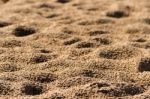 Background With Texture Of Sand And Dune In The Summer Stock Photo