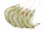 Raw Shrimps Stock Photo