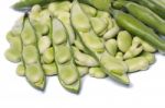 Broad Beans Stock Photo