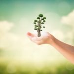 Hands Of Little Girl Holding Bonsai Tree Stock Photo