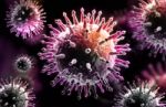 Influenza Virus Stock Photo