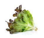 Lettuce Isolated On The White Background Stock Photo