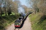 Steam Train On The Bluebell Railway Line In Sussex Stock Photo