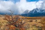 Autumn In Patagonia. The Torres Del Paine National Park In The S Stock Photo