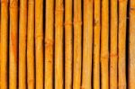 Yellow Bamboo Stick Striped Pattern Stock Photo