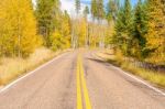 Road Around North Rim At Grand Canyon Stock Photo