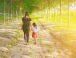 Two Hands Holding Puzzle Mother And Child,the Woman And Child Holding Hands At Sunset Stock Photo