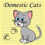 Domestic Cats Shows Family Kitty And Pedigree Stock Photo