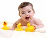 3 Little Duckies Stock Photo