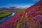 Beautiful Landscape Of Scottish Nature Stock Photo