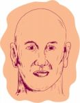 Bald Caucasian Male Head Drawing Stock Photo