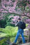 Cameraman Stock Photo